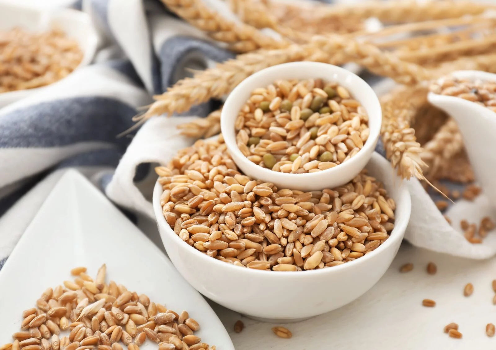 20 Pounds Raw Wheat Berries K14278
