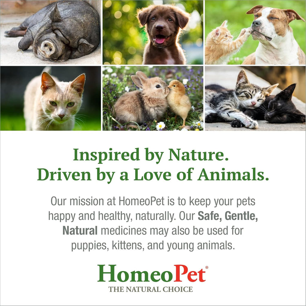 15 Milliliters Feline Furball Medicine Y512609