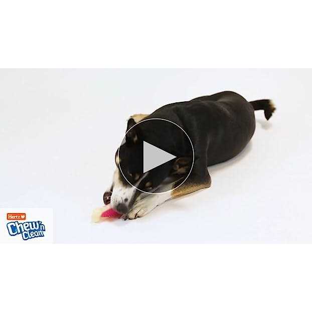 Chew 'n Clean Dental Duo Dog Chew Toy Treat T8772