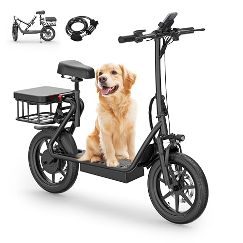 Electric Scooter with Dual Braking Dual Suspension F5244