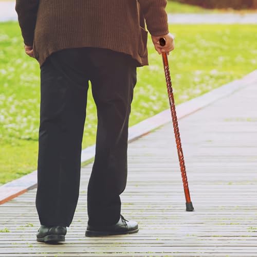 Natural Wood Walking Stick Cane Q97542