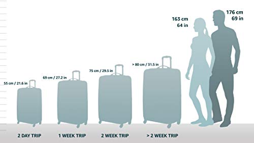 Purple Underseat Carry-On Spinner with USB Port E51971