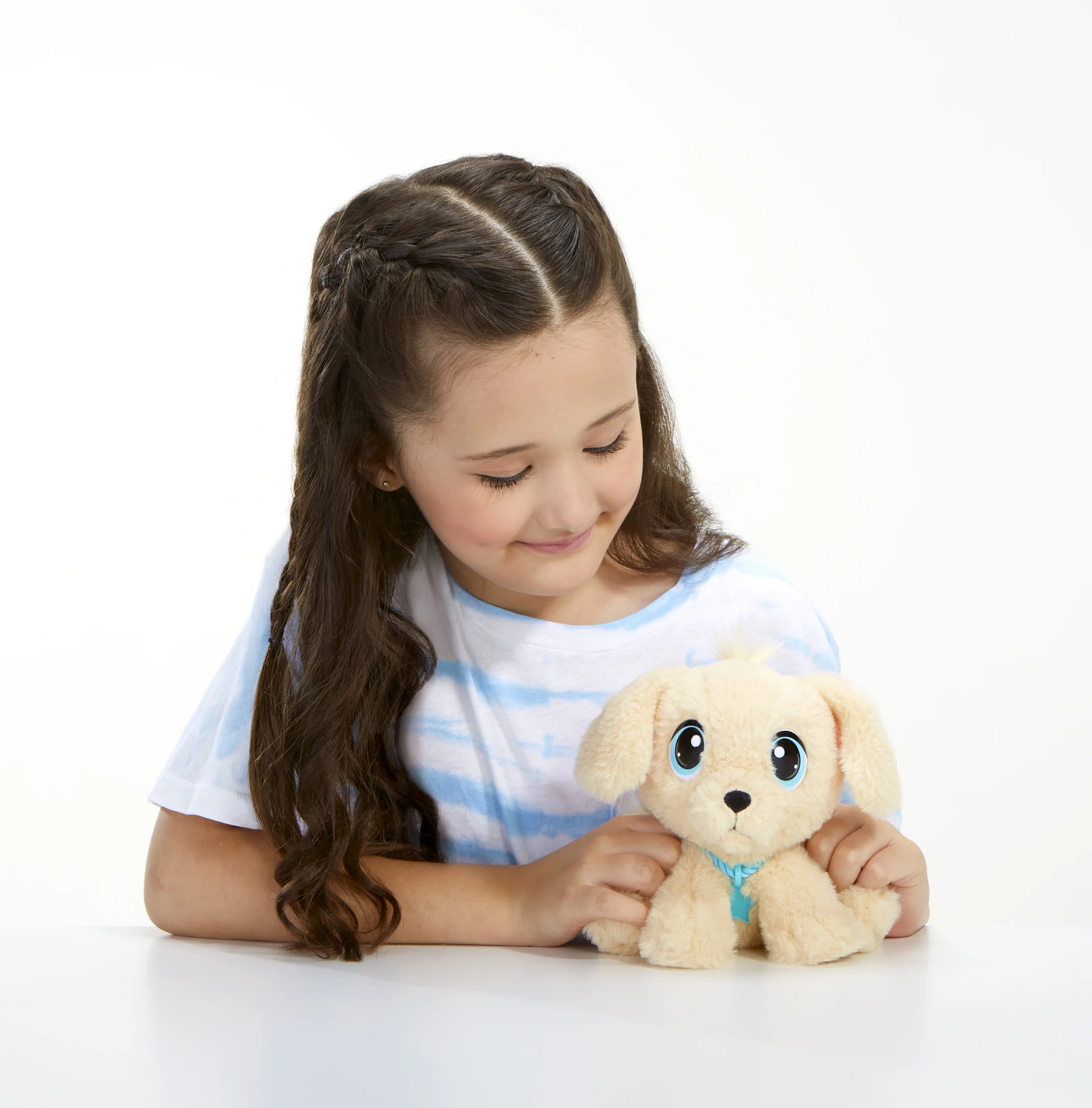 Interactive Plush Stuffed Animal Toy Dog with Collar, Tag, and House C981