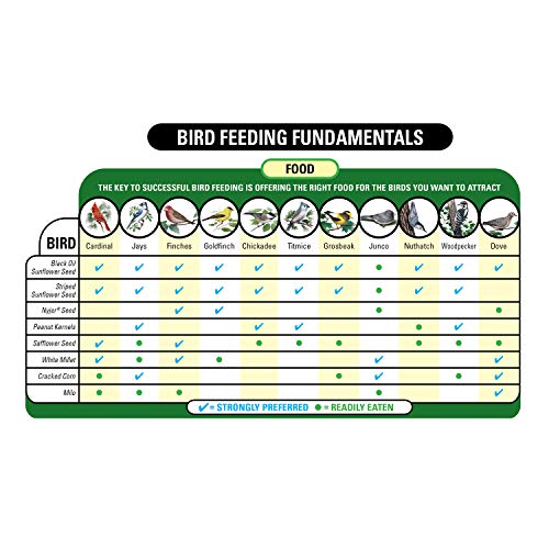 20-Pound Wild Bird Food D7428