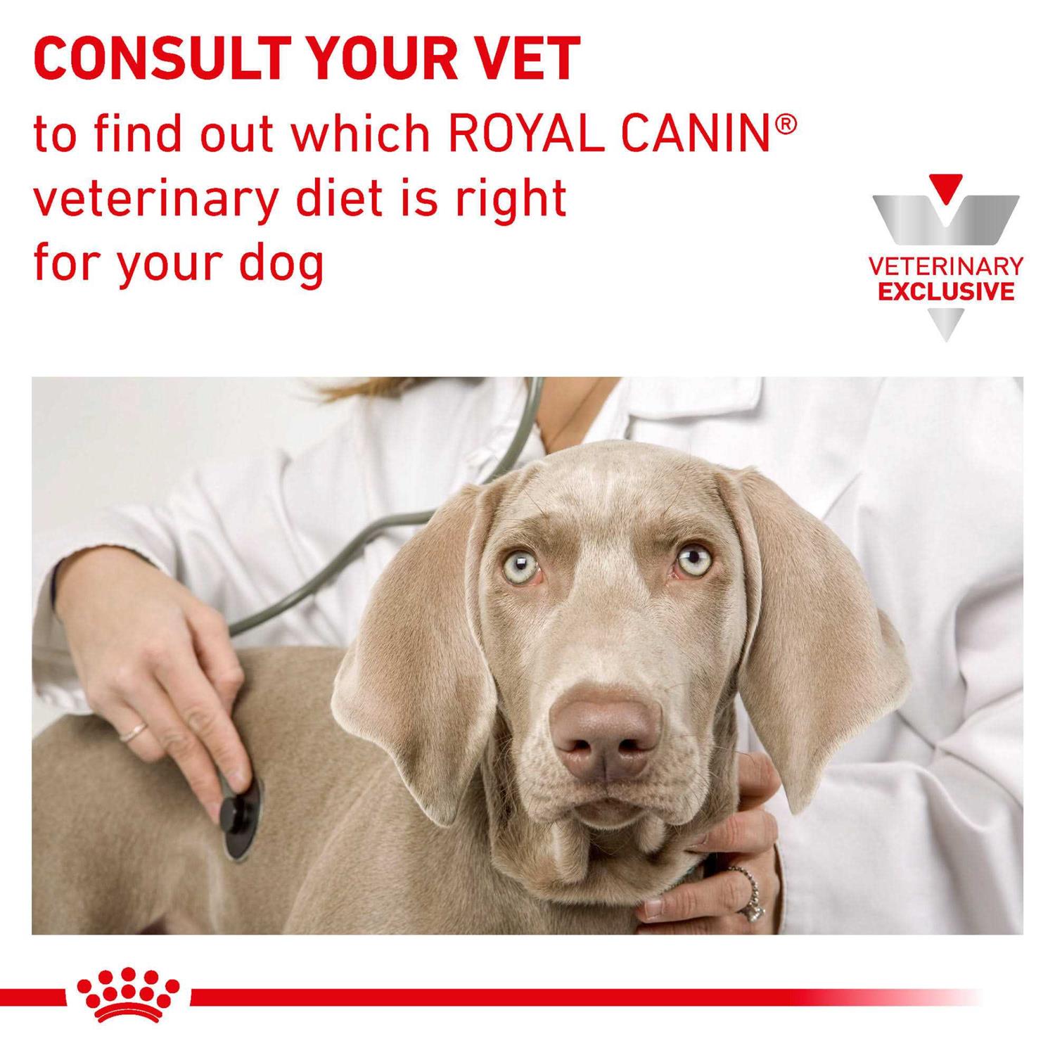 Veterinary Diet Urinary SO Moderate Calorie Dry Dog Food O77194