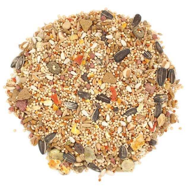 Cockatiel & Lovebird Food V61202