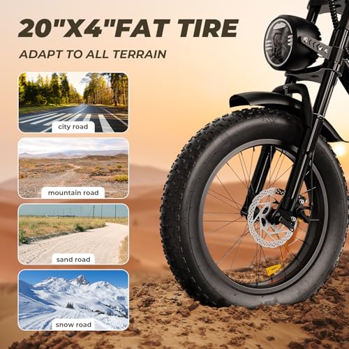 20" Fat Tire Electric Bike with 15.6Ah Battery Q9180