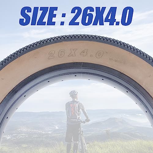 Fat Tire 20" x 4" Q2326