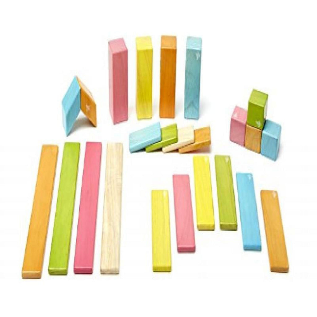 24 Piece Magnetic Wooden Block Set F823941