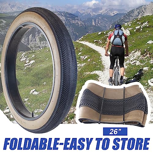 Fat Tire 20" x 4" Q2326