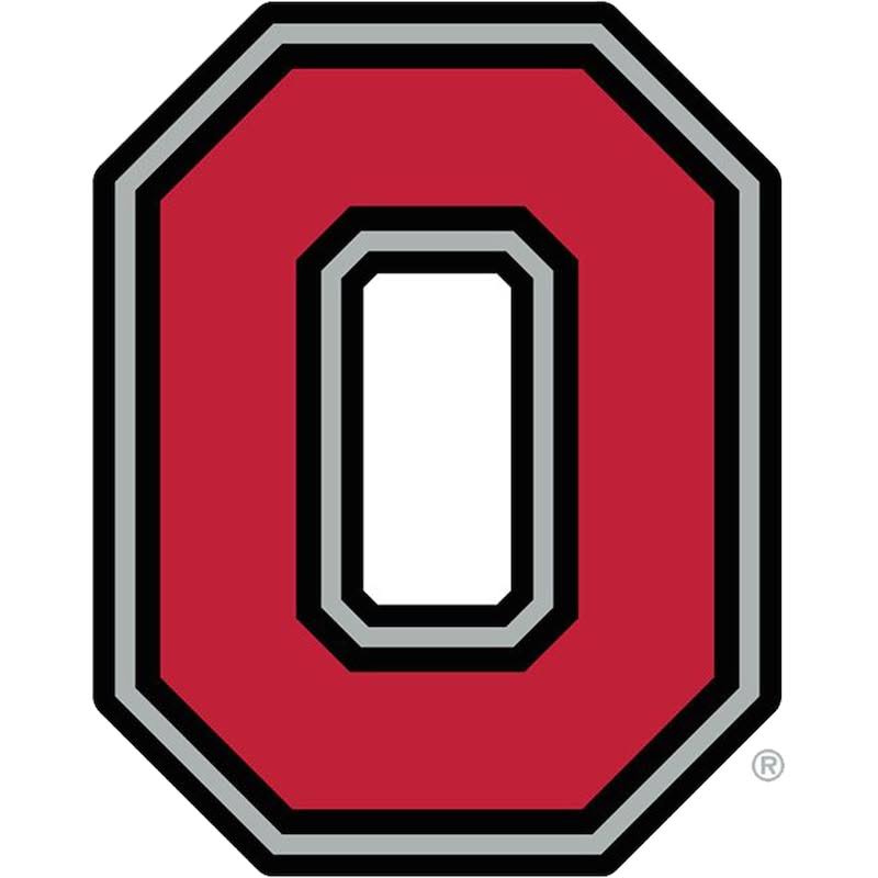 Ohio State Buckeyes Giant Removable Decal T734