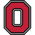 Ohio State Buckeyes Giant Removable Decal T734