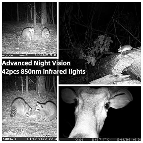 24MP 1080P HD Waterproof Game Camera 2 Pack Z3188