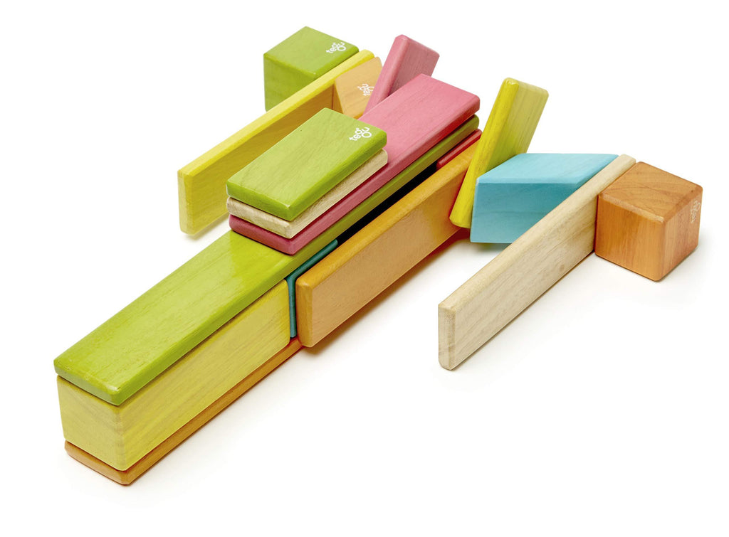 24 Piece Magnetic Wooden Block Set F823941