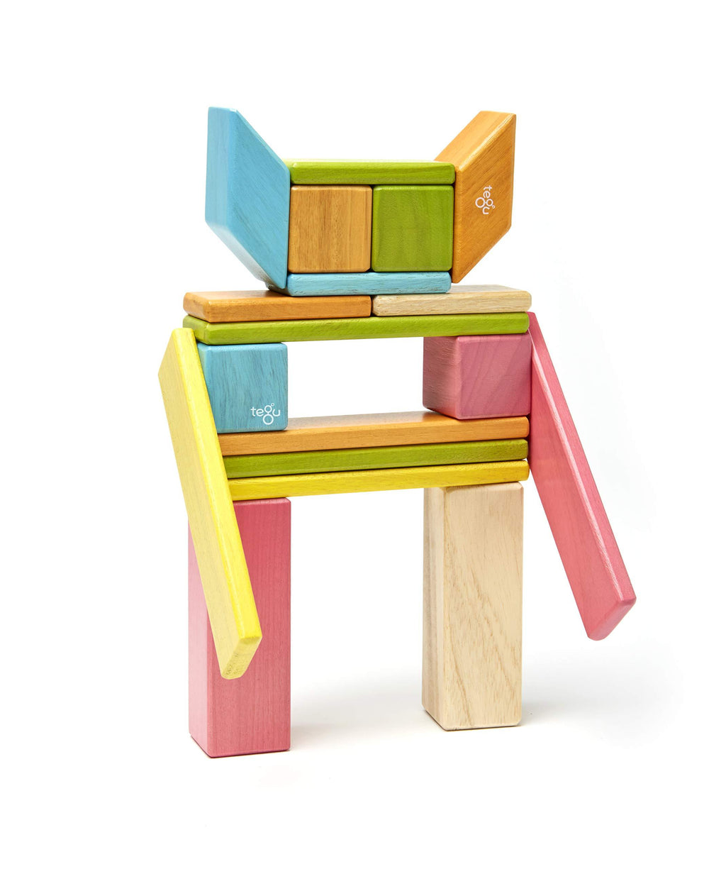 24 Piece Magnetic Wooden Block Set F823941