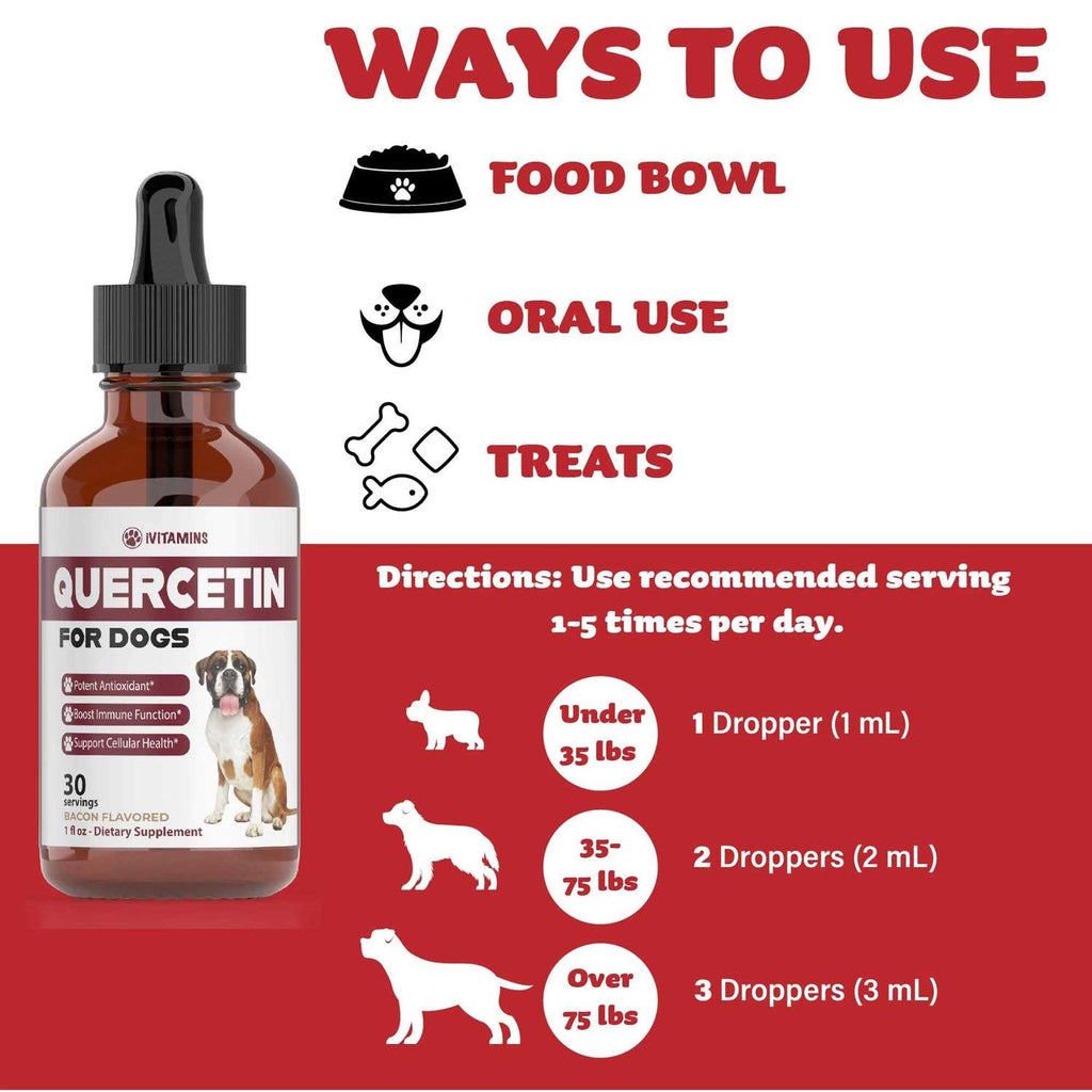 Quercetin for Dogs U128070