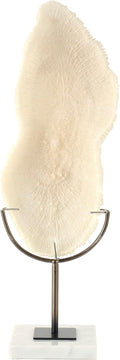 Polystone Decorative Sculpture with Gray Stand and Acrylic Base, 7" x 5" x 19", Cream O7870