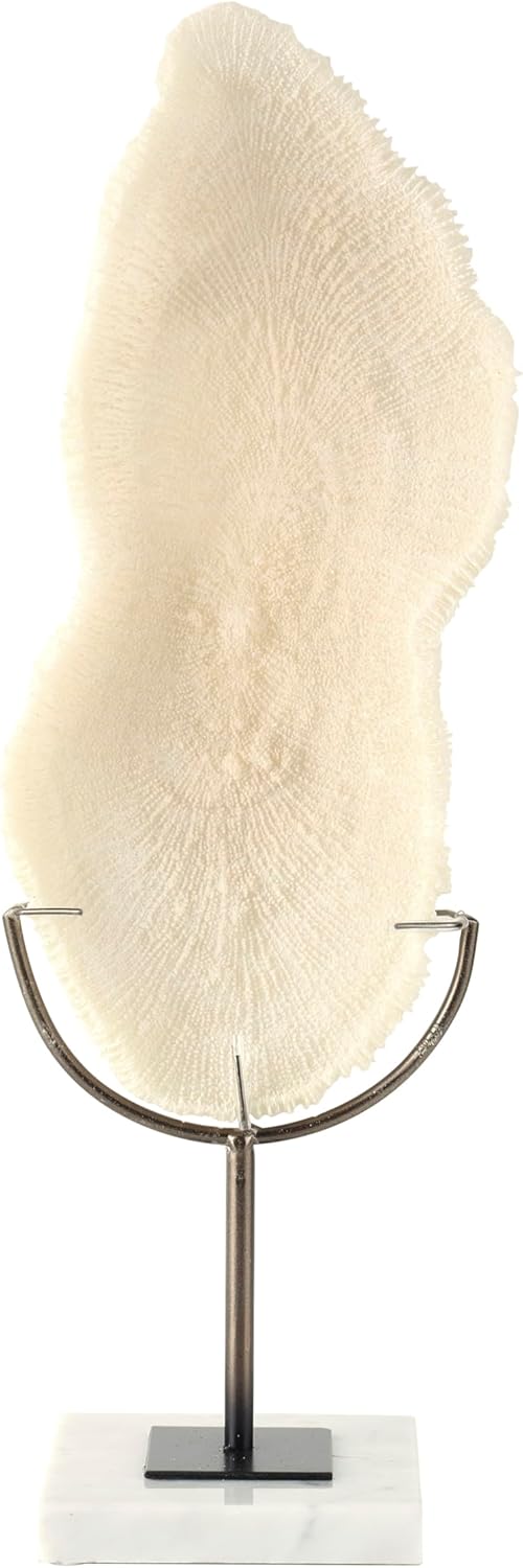 Polystone Decorative Sculpture with Gray Stand and Acrylic Base, 7" x 5" x 19", Cream O7870