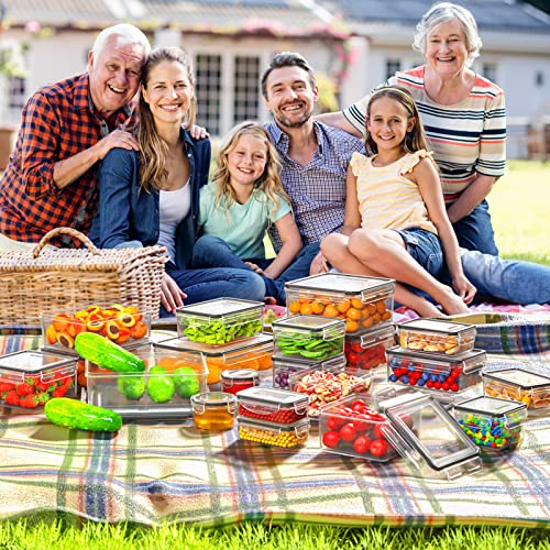 52 Piece Airtight Food Storage Containers Set with Lids V27864