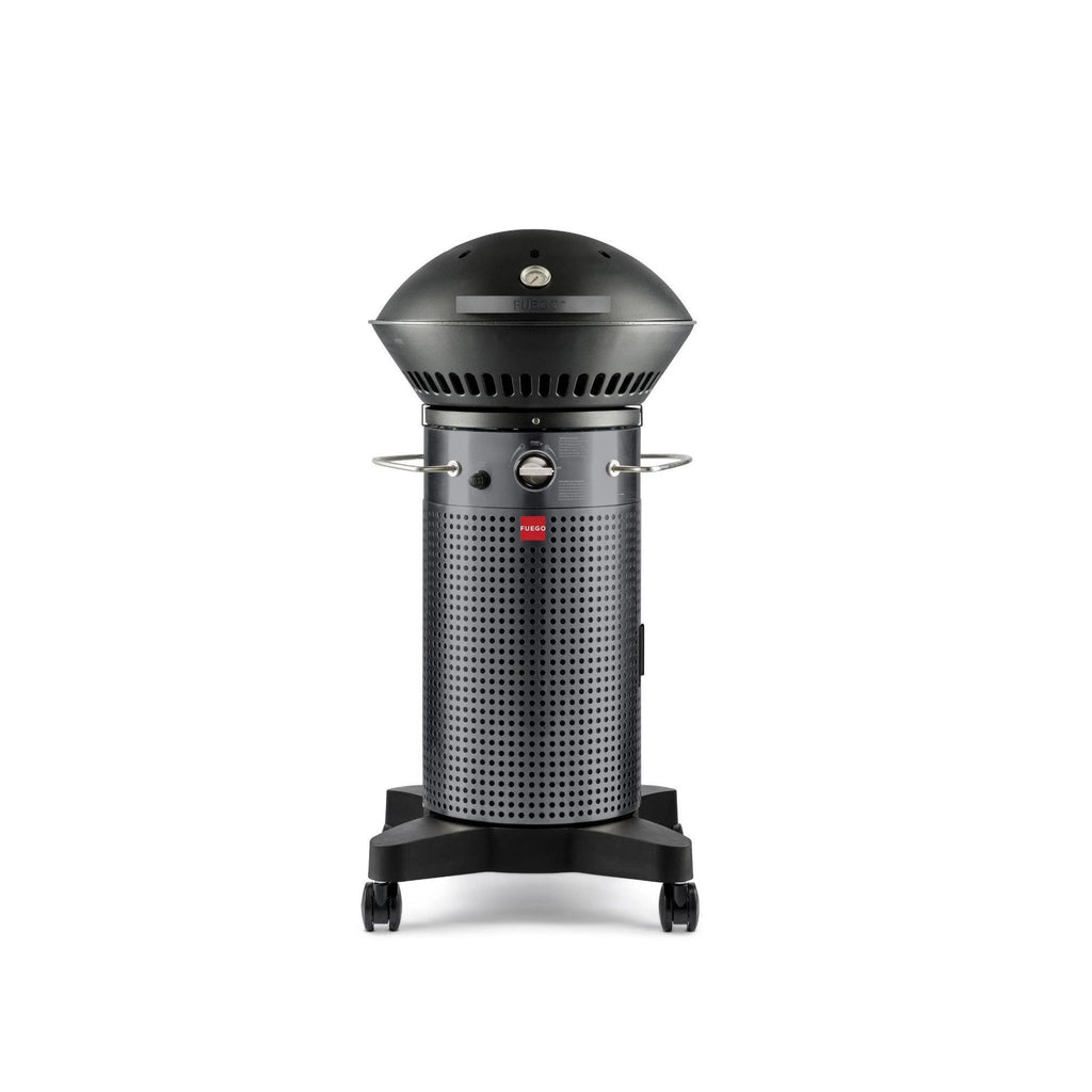Dark Gray Propane Gas Grill S2281