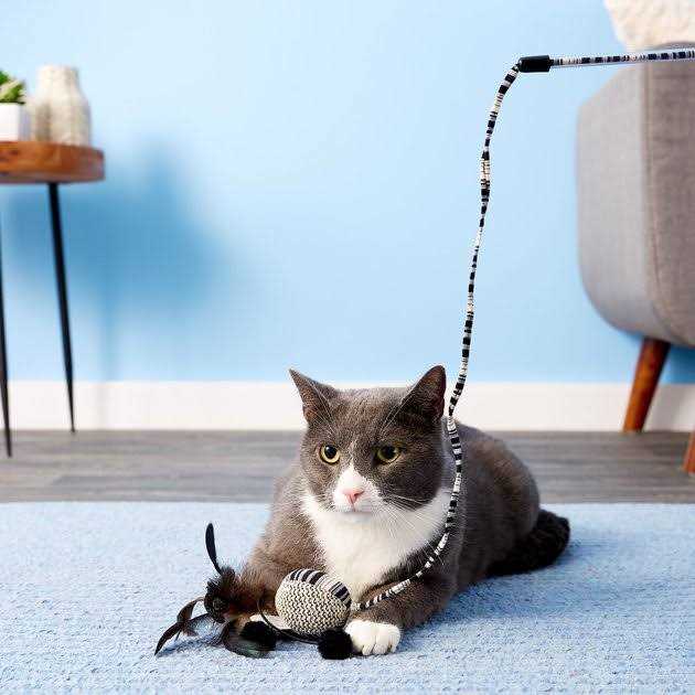 Cat Toy with Wand C41497