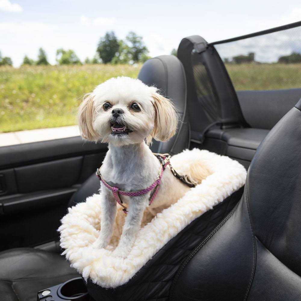 Pet Car Seat W72018