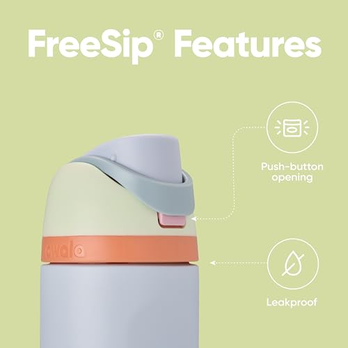 16 oz Stainless Steel Water Bottle with Straw D15218