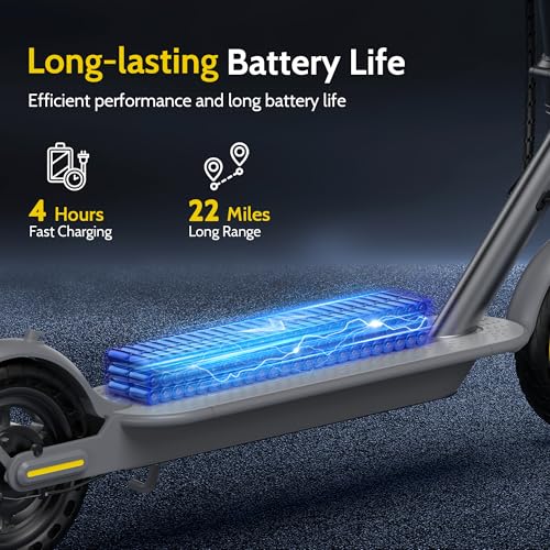 Electric Scooter with Dual Braking Dual Suspension F5244