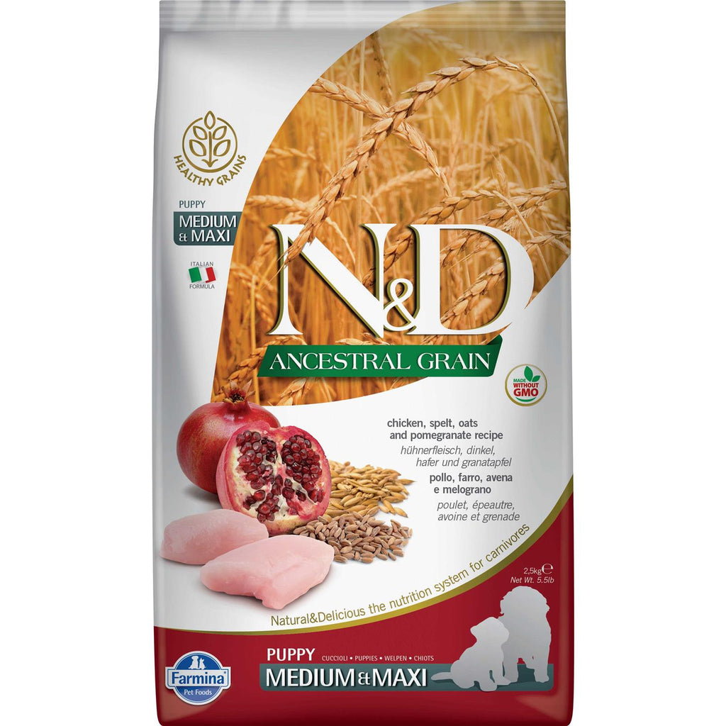 Chicken & Pomegranate Dry Dog Food Q37468