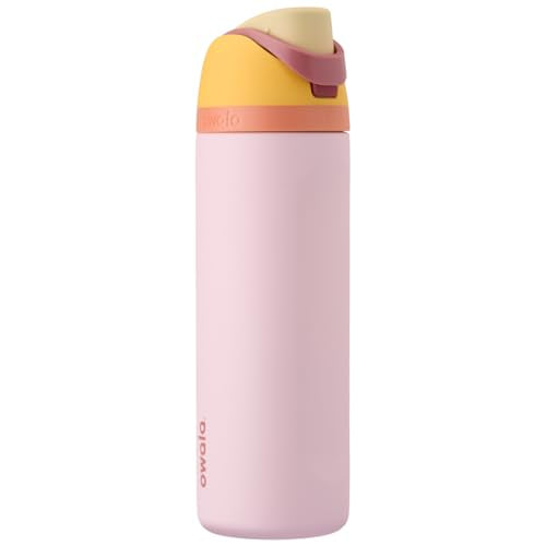 16 oz Stainless Steel Water Bottle with Straw D15218