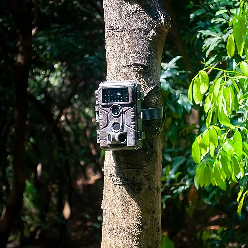 64MP 1296p Trail Camera with No Glow Night Vision I50614