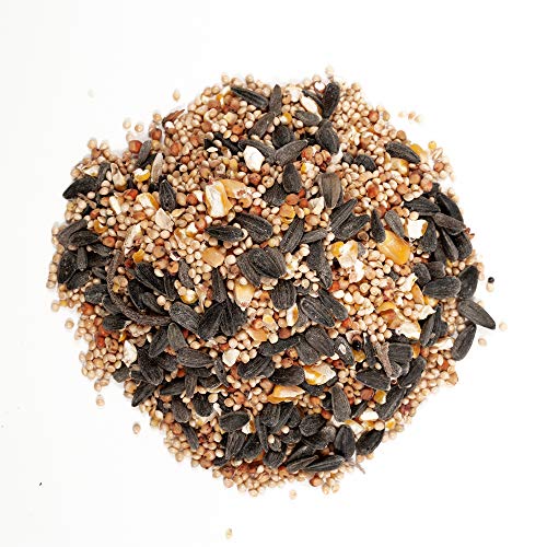 20-Pound Wild Bird Food D7428