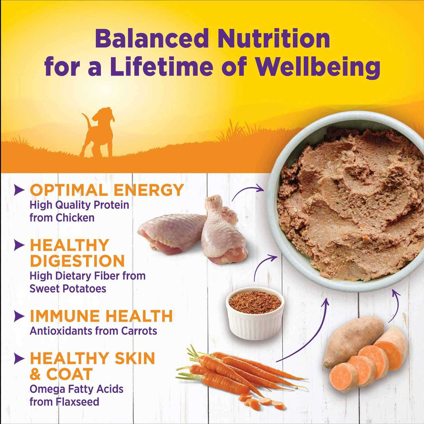 Puppy Food M423099