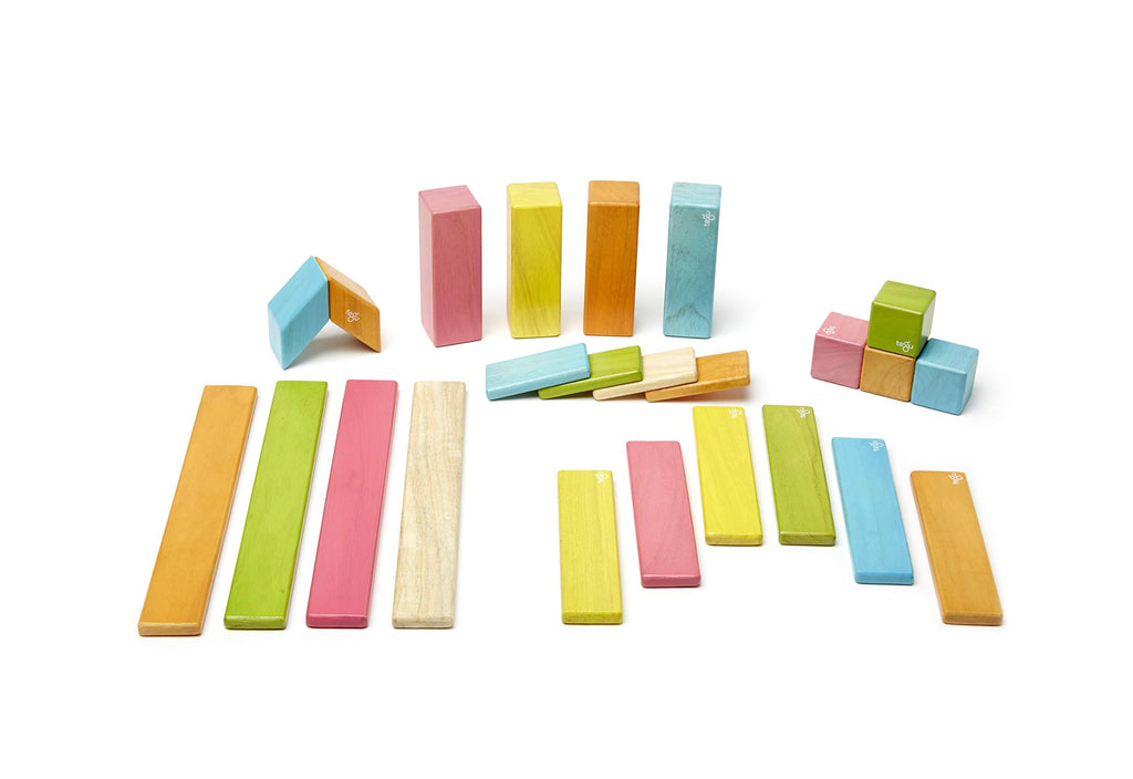 24 Piece Magnetic Wooden Block Set F823941