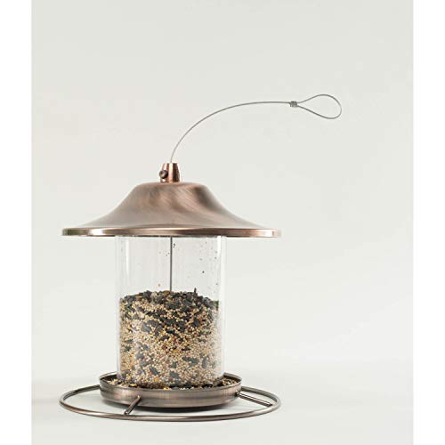 20-Pound Wild Bird Food D7428