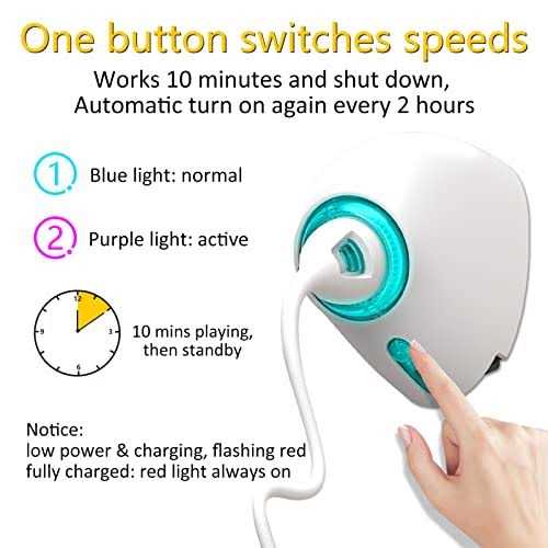 Automatic Hanging Cat String Toy F45320