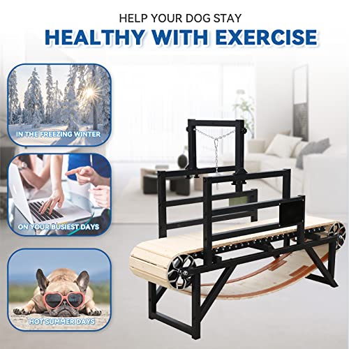 Dog Running Machine Exercise Equipment M6894