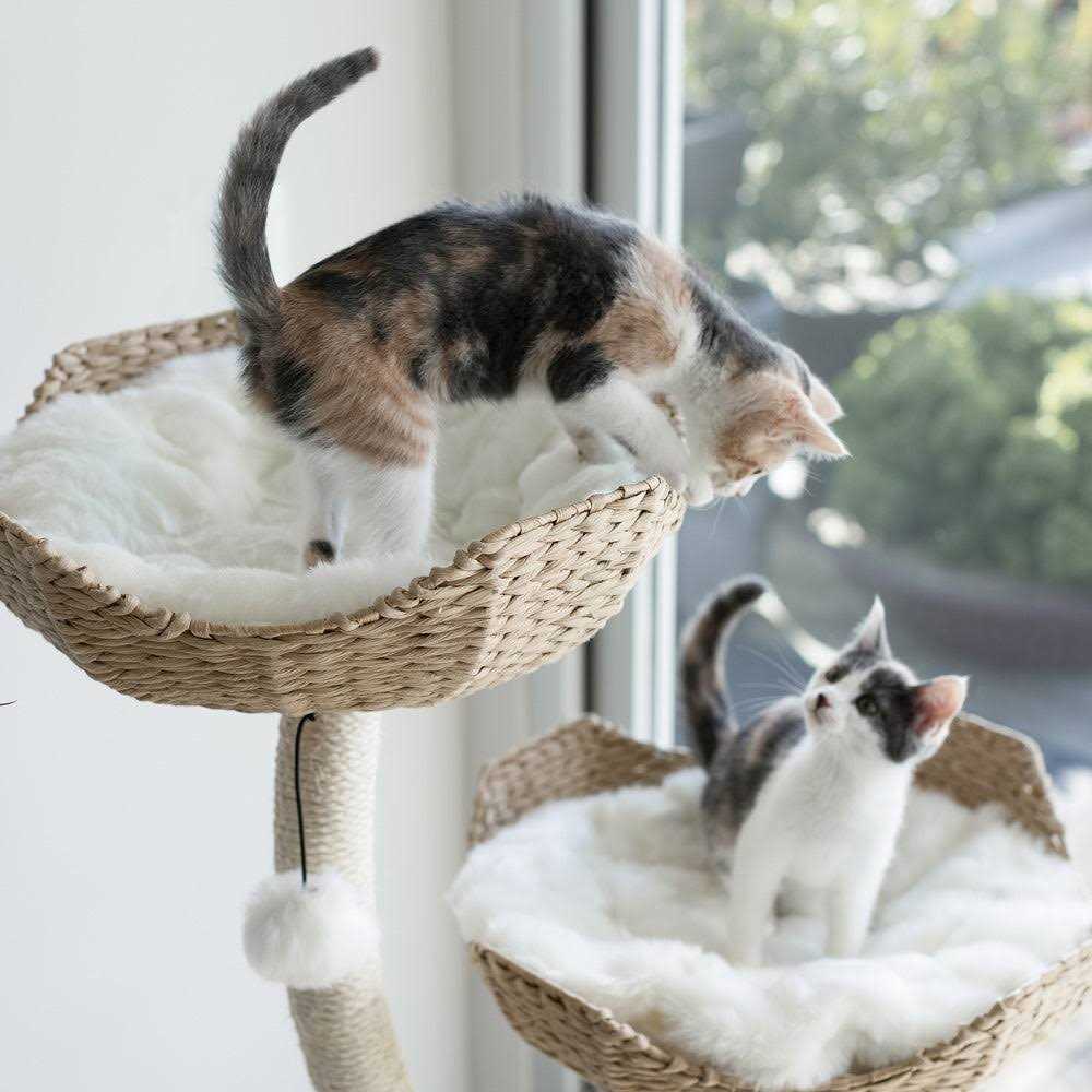 Modern Cat Tree F6739