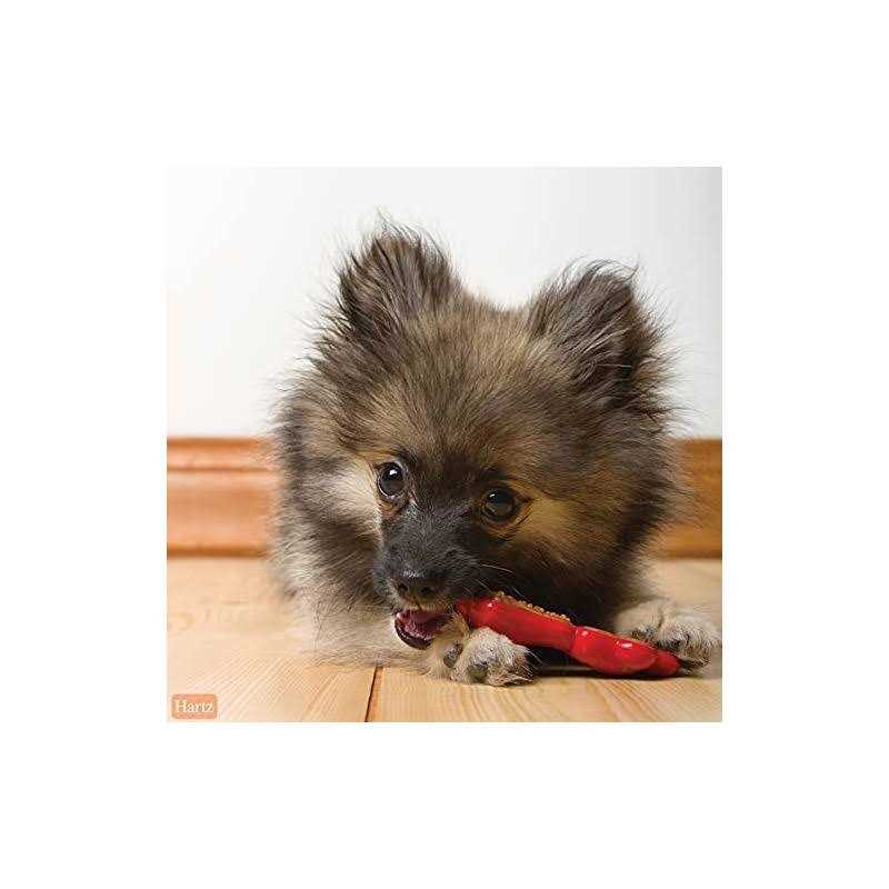 Chew 'n Clean Dental Duo Dog Chew Toy Treat T8772