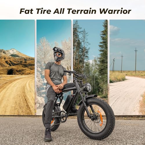 20" Fat Tire Electric Bike with 15.6Ah Battery Q9180
