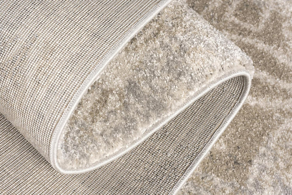 Grey Brown Plush Area Rug 4' x 6' G4420