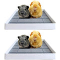 Rabbit Large Litter Box with Toilet Tray, 15x12x3 Inches R185