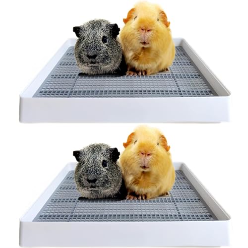 Rabbit Large Litter Box with Toilet Tray, 15x12x3 Inches R185