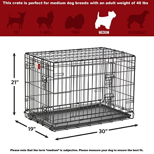 36-Inch Folding Dog Crate with Double Door Y290279