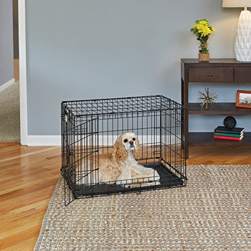36-Inch Folding Dog Crate with Double Door Y290279