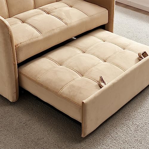 Velvet 3 in 1 Pull-Out Sleeper Sofa Chair E5253