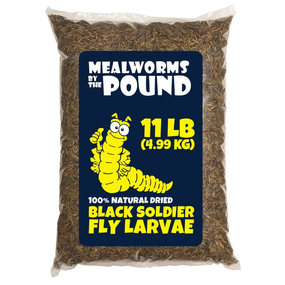 Dried Black Soldier Fly Larva (11 lbs) K239