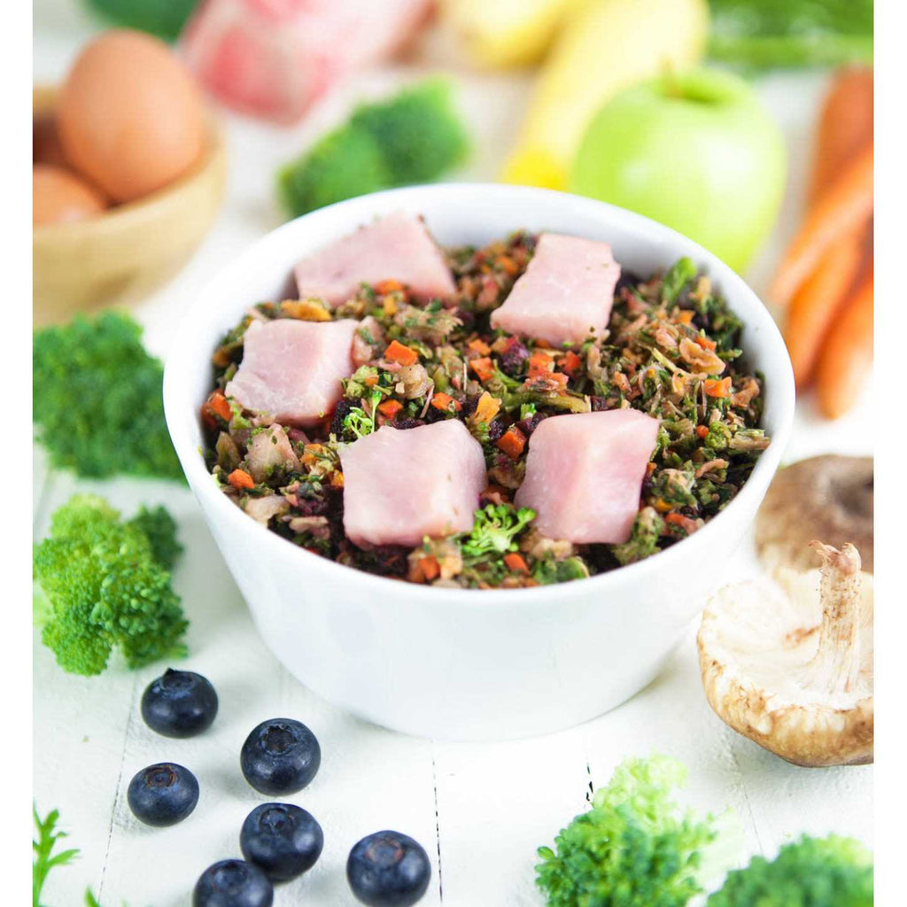 Raw Vibrance Dog Food F179977