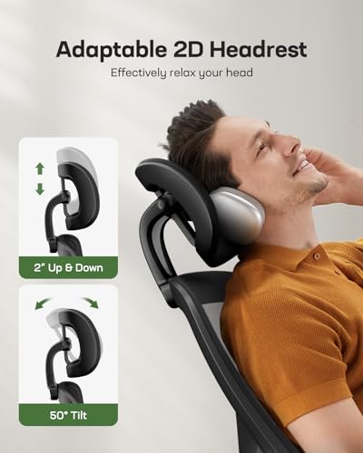 Ergonomic Mesh High Back Desk Chair with Headrest U648