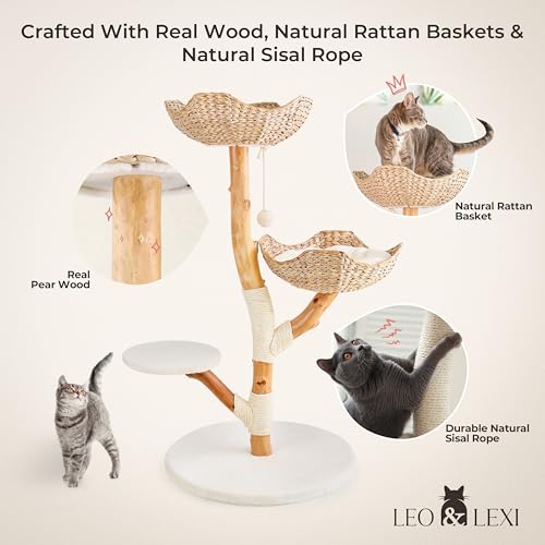 Solid Wood Cat Tree with Scratching Post and Bed N41828